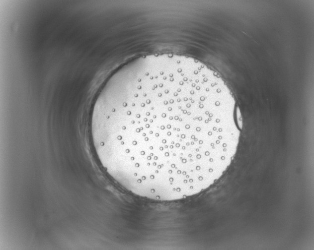 X0000074310241200609230008