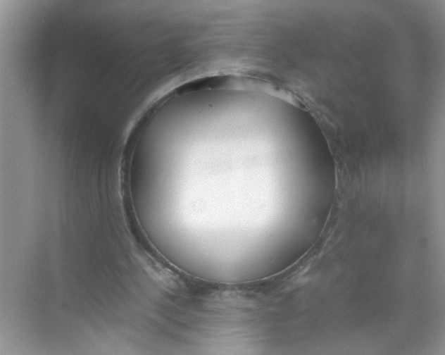 X0000074310244200609230008