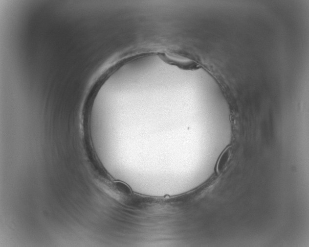 X0000074310246200609230008