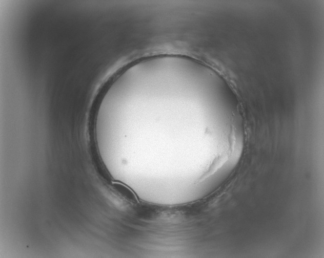 X0000074310248200609230008