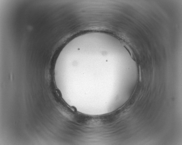 X0000074310252200609230008