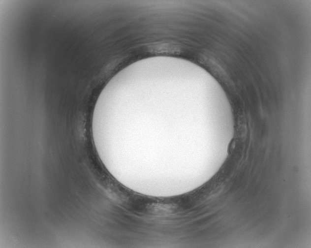 X0000074310255200609230008