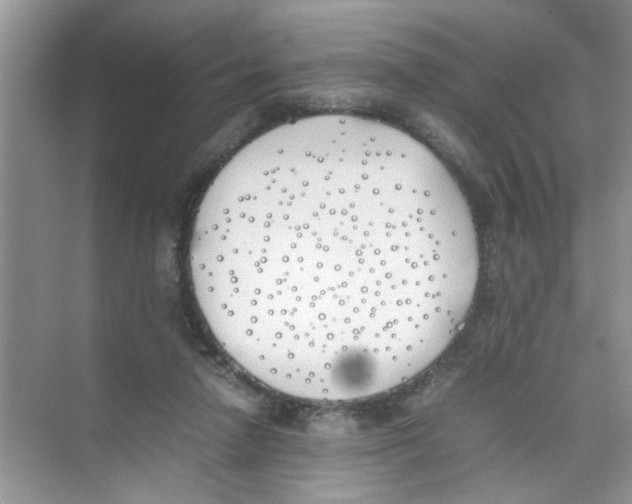 X0000074310258200609230008