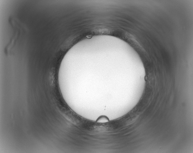 X0000074310259200609230008