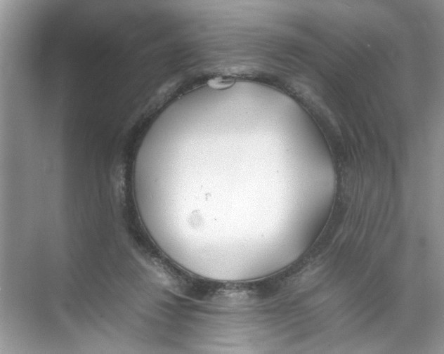 X0000074310260200609230008