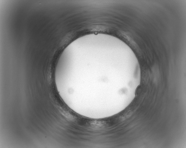 X0000074310261200609230008