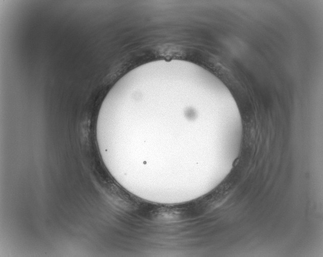 X0000074310263200609230008