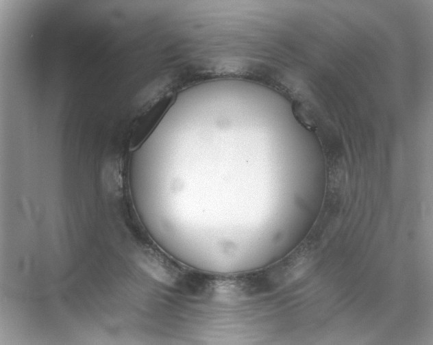 X0000074310264200609230008