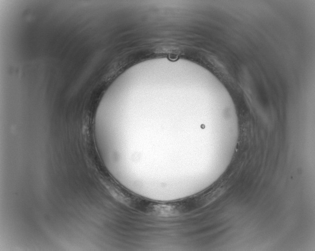 X0000074310265200609230008