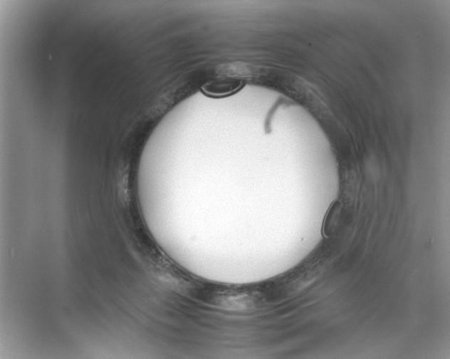 X0000074310267200609230008