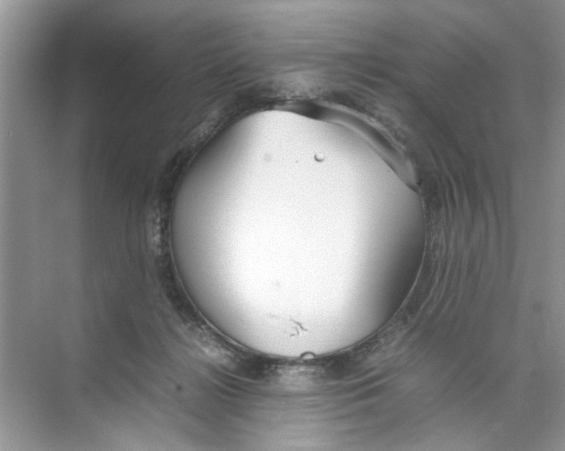 X0000074310268200609230008