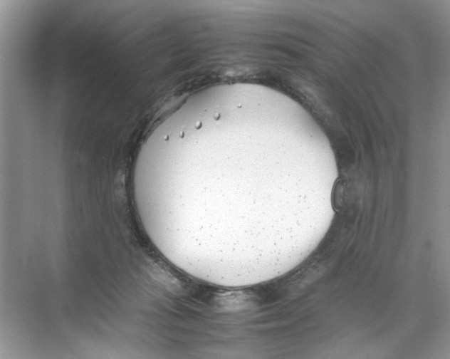 X0000074310269200609230008