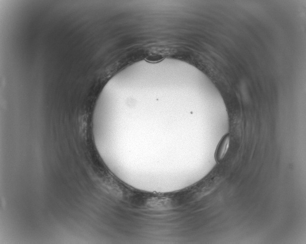 X0000074310271200609230008