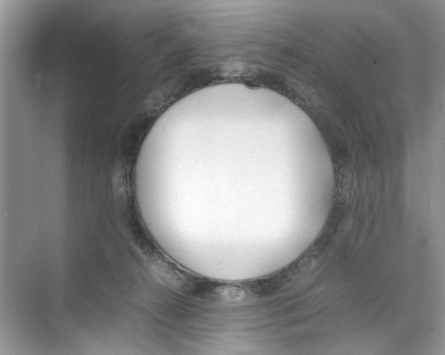 X0000074310272200609230008