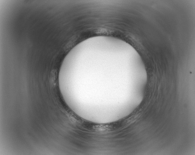 X0000074310273200609230008