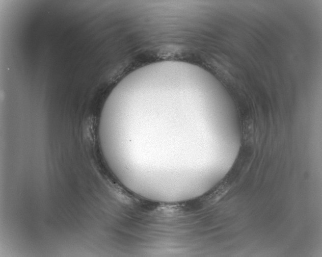 X0000074310280200609230008