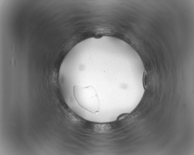 X0000074310281200609230008