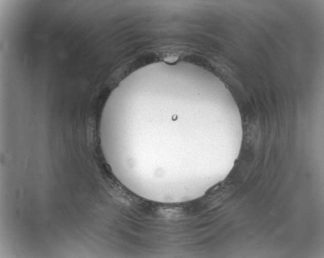 X0000074310283200609230008