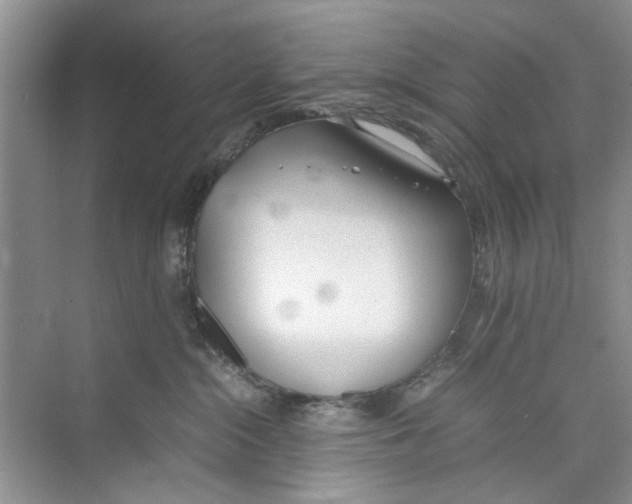 X0000074310284200609230008