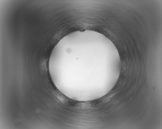 X0000074310286200609230008