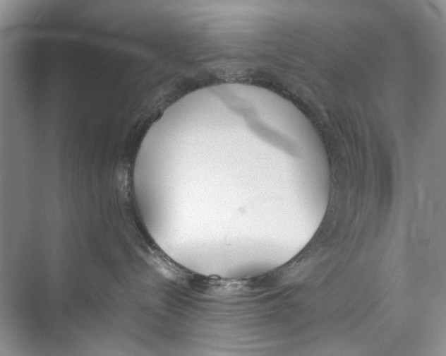 X0000074310288200609230009