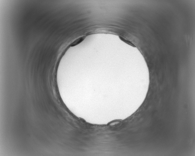 X0000074310289200609230008