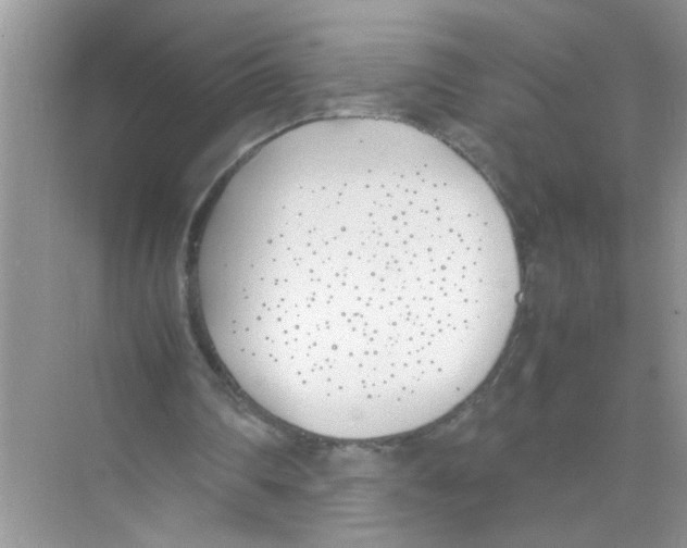 X0000074310290200609230008