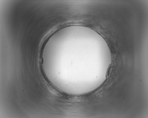 X0000074310293200609230008