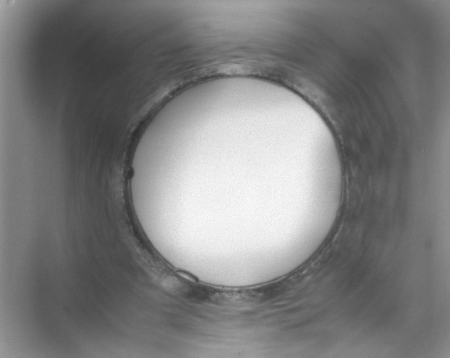 X0000074310297200609230008