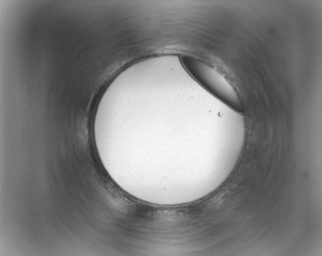 X0000074310298200609230008