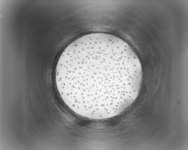 X0000074310299200609230008