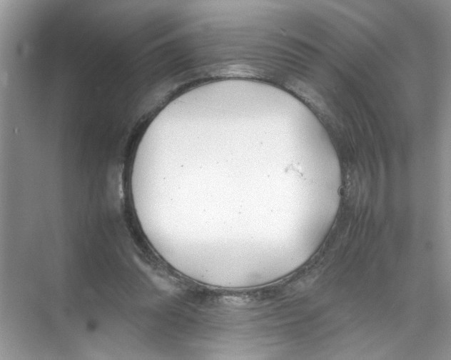 X0000074310302200609230008