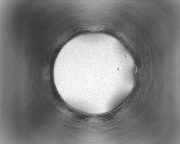 X0000074310303200609230007