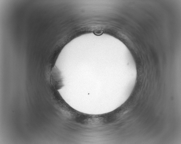 X0000074310307200609230007