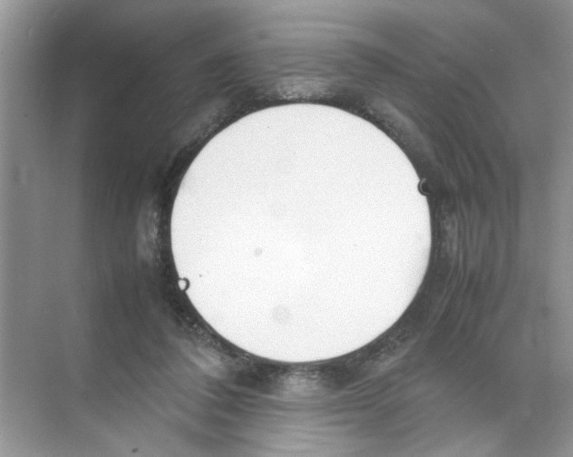 X0000074310308200609230007