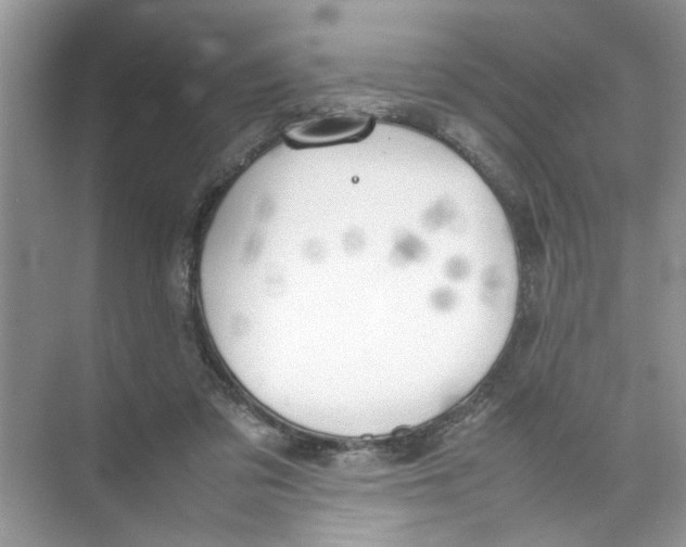 X0000074310309200609230007