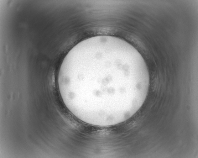 X0000074310310200609230007