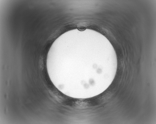 X0000074310311200609230007