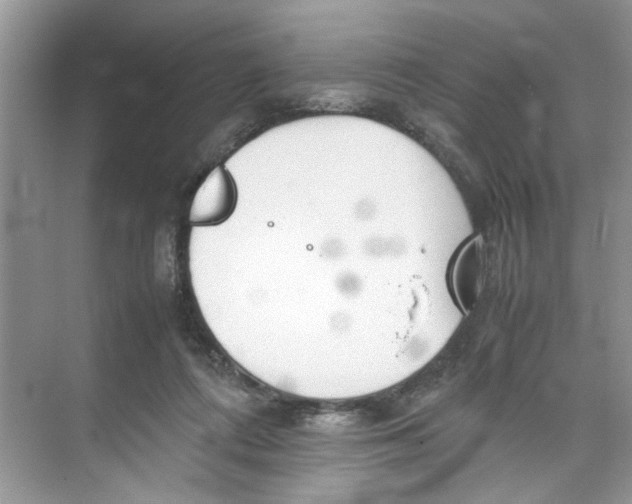 X0000074310312200609230007