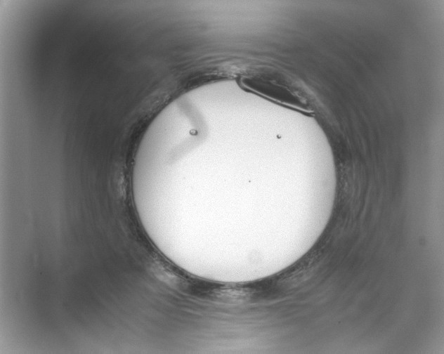 X0000074310313200609230007