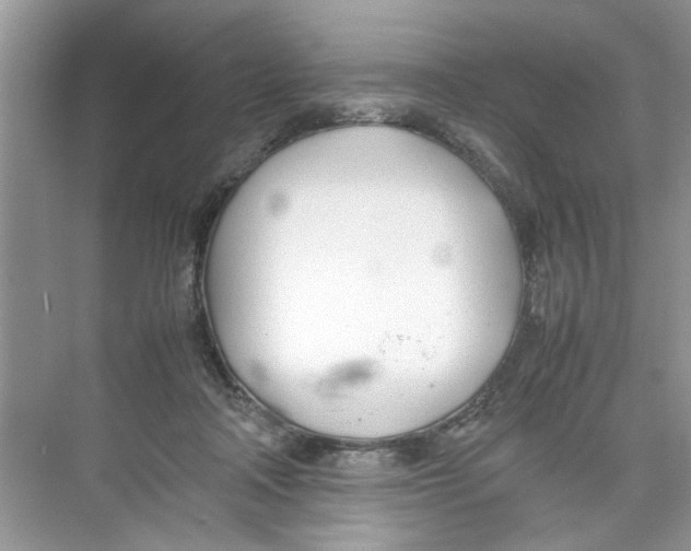 X0000074310314200609230007