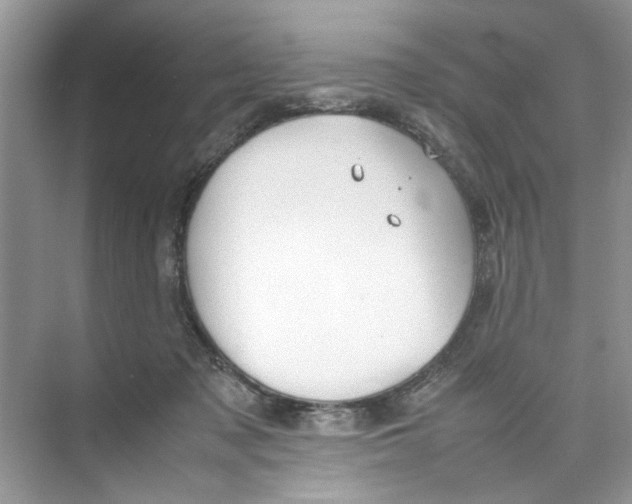 X0000074310317200609230007