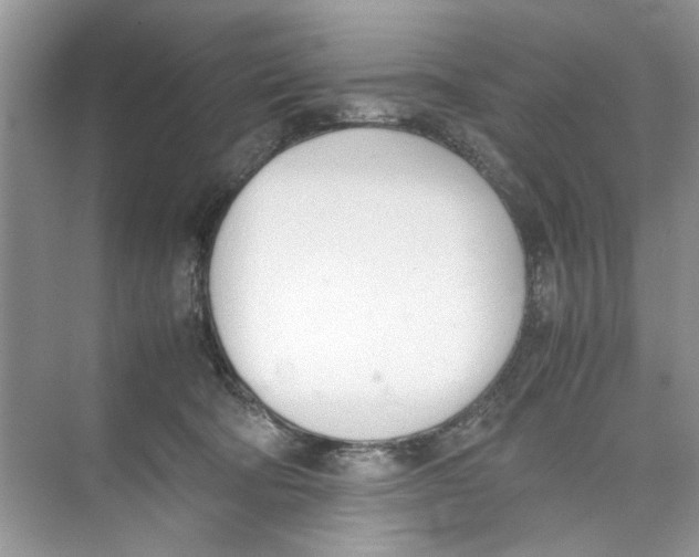 X0000074310322200609230007