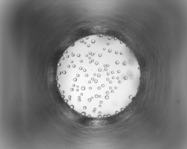 X0000074310323200609230007