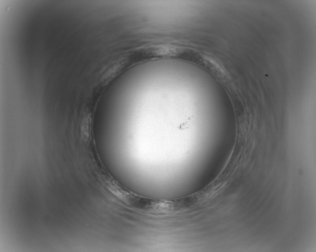 X0000074310325200609230007