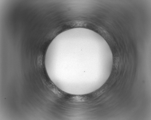 X0000074310326200609230007