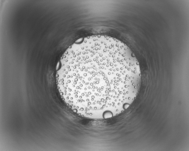 X0000074310327200609230007