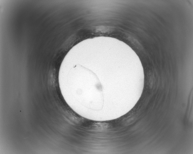 X0000074310328200609230007