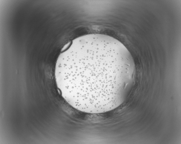 X0000074310331200609230007