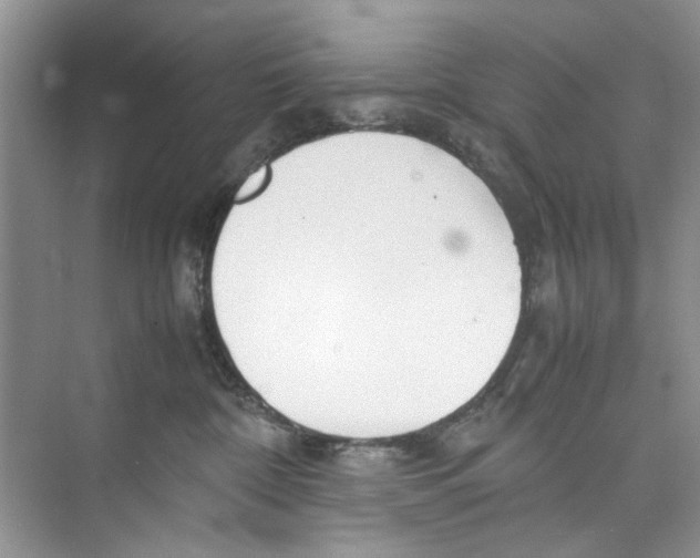 X0000074310332200609230007